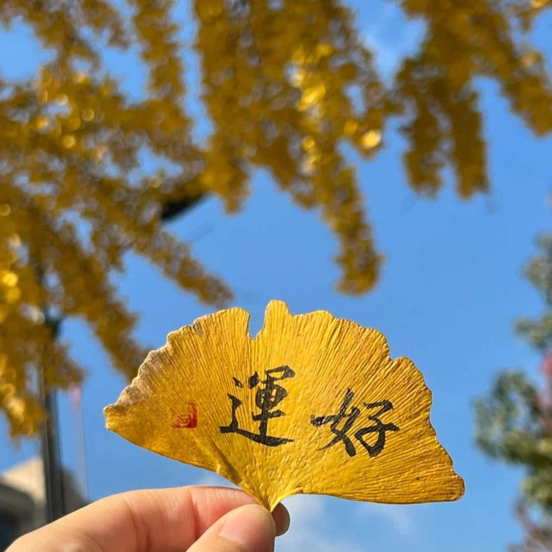 愿如意