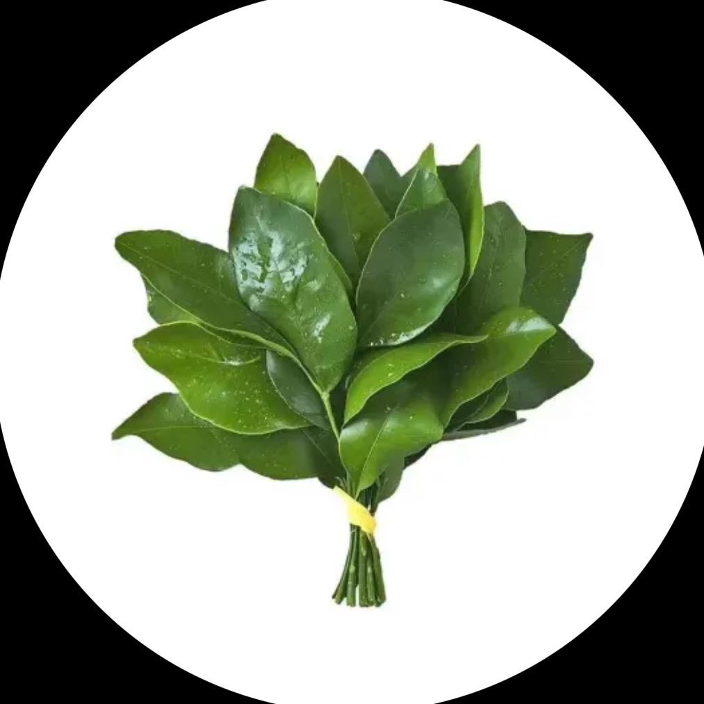 我不吃饭