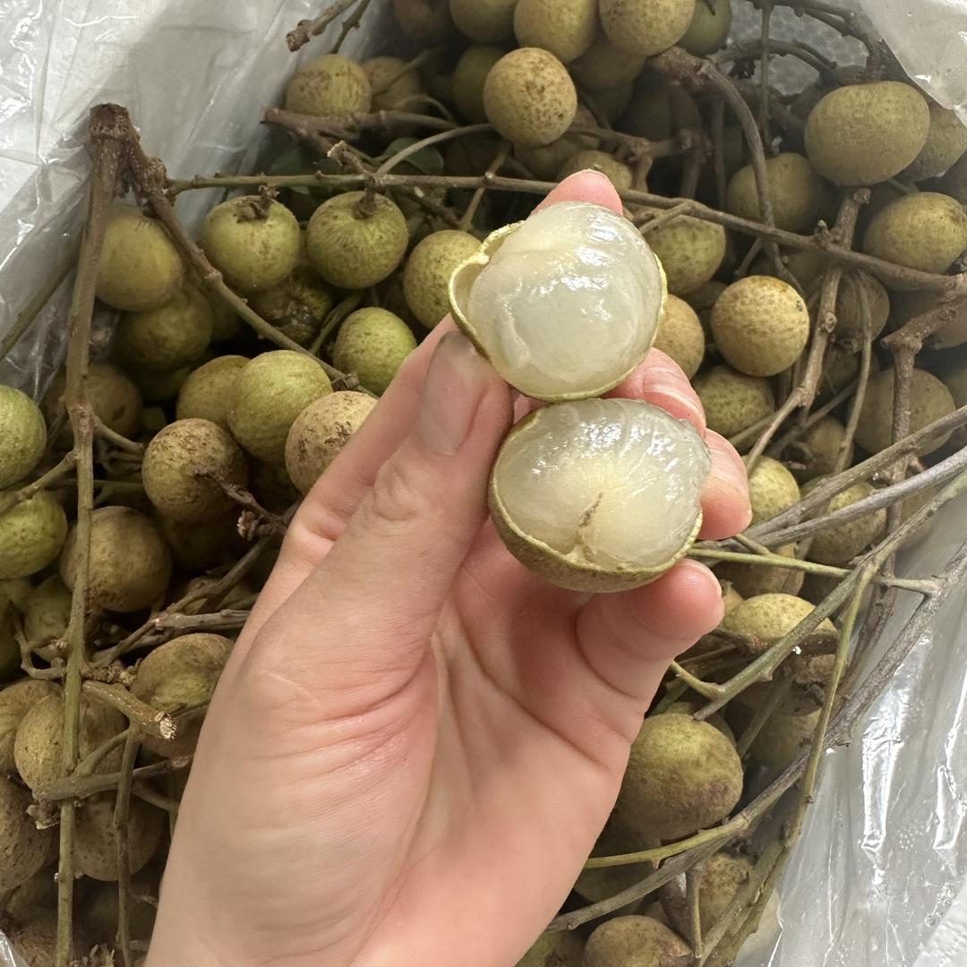 D J造型连锁店