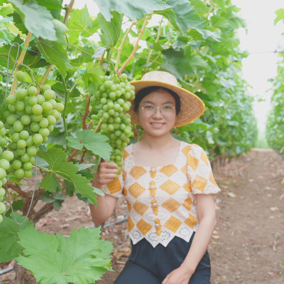 小阿福（草草药姑娘）