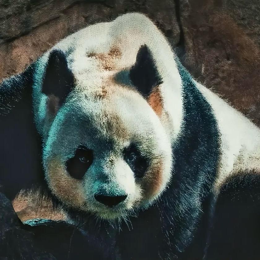 餘生借給你