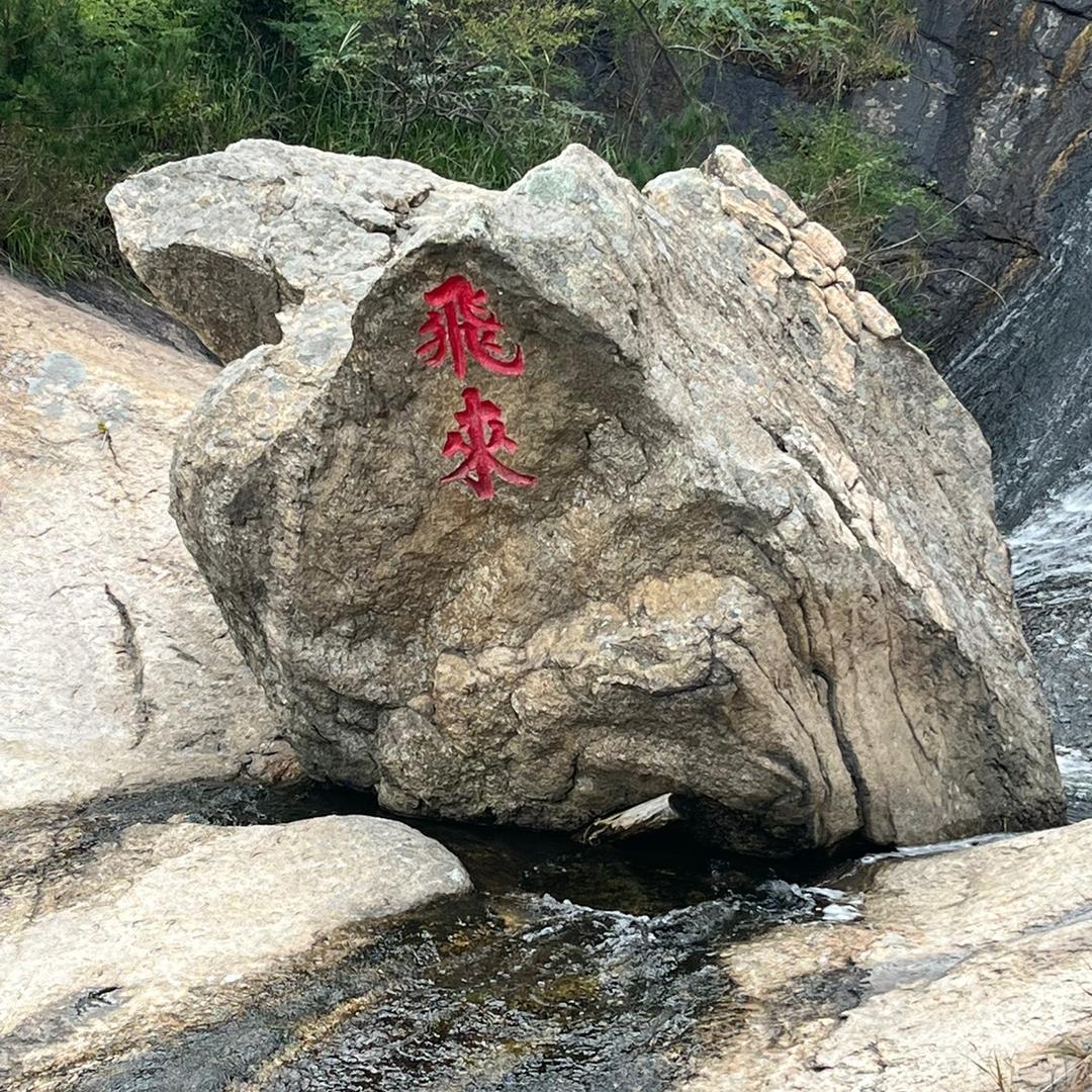 老七