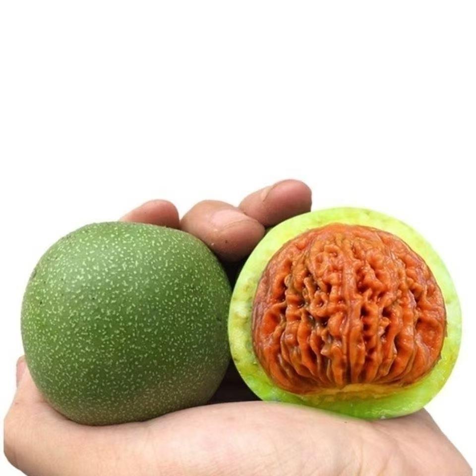八月青皮文玩
