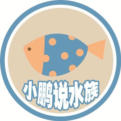 小鹏说水族