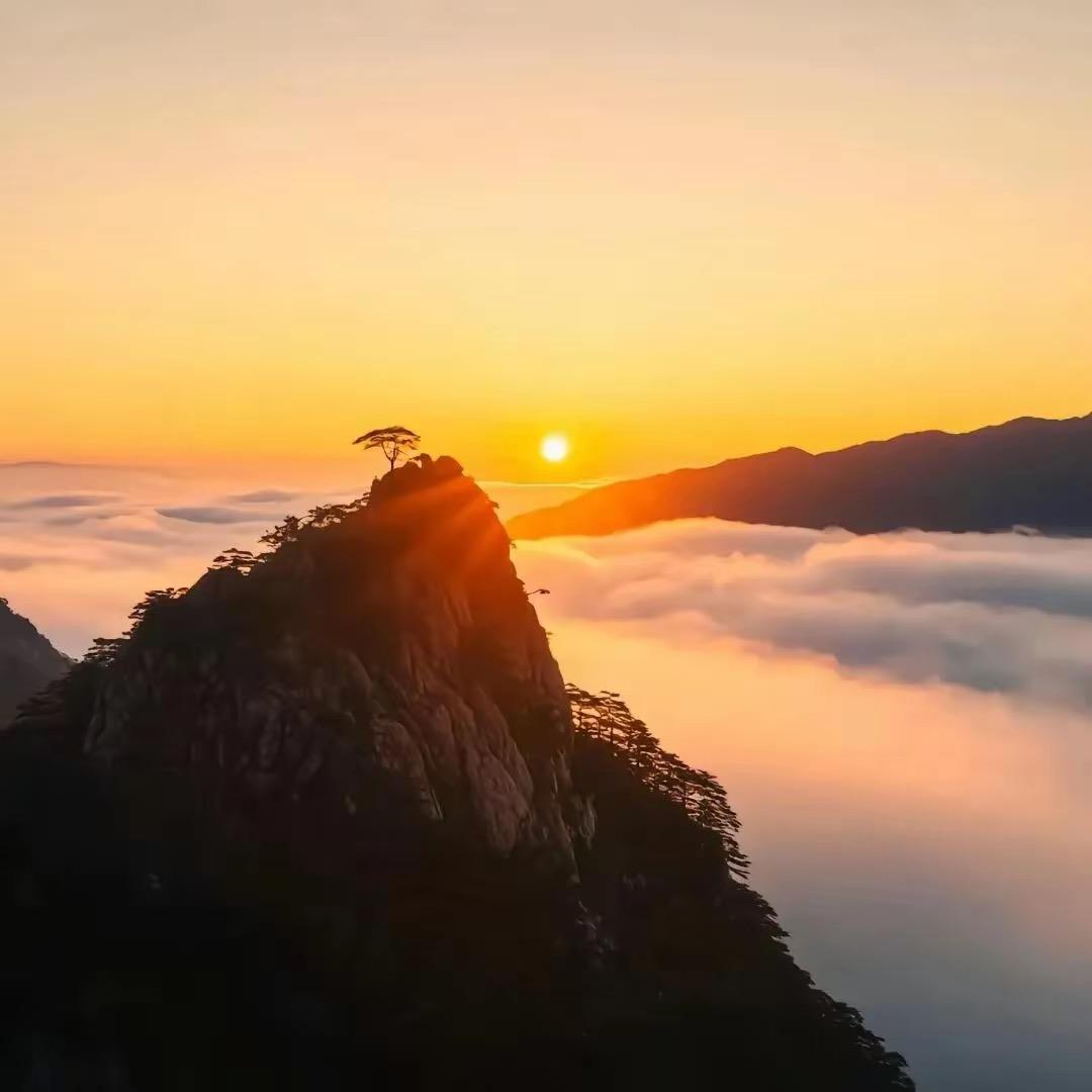 湘邵隆—异客