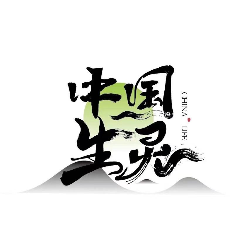 动物追踪手链