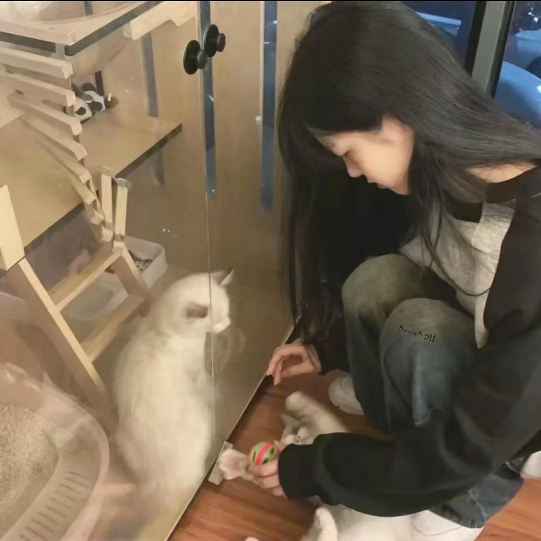 有钱进兜兜