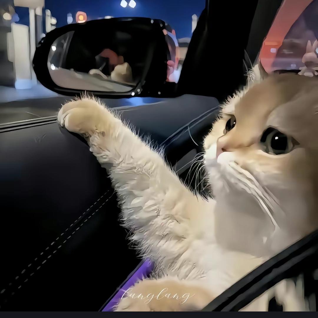 Q~