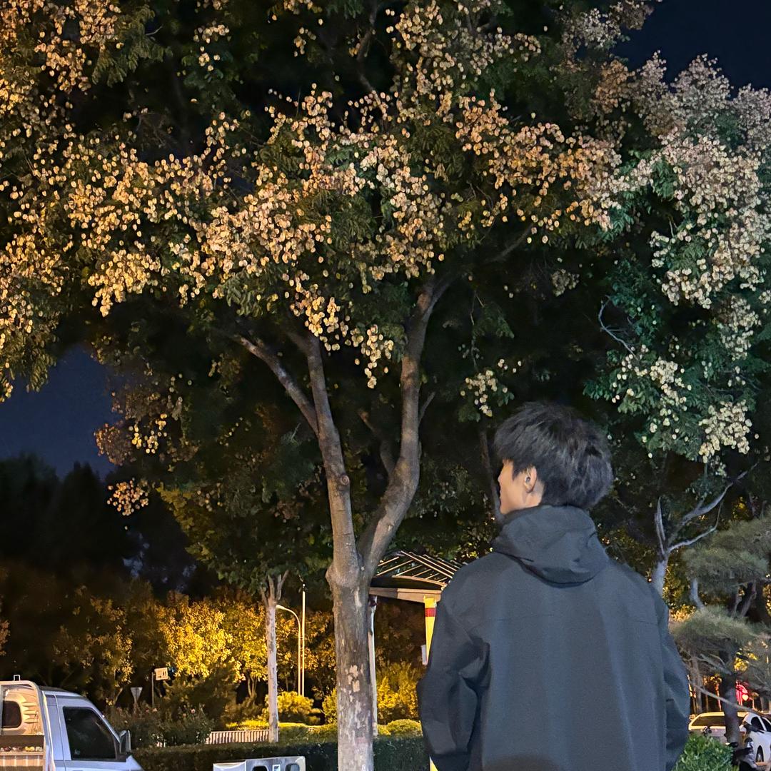 是雾藏着海风🏠