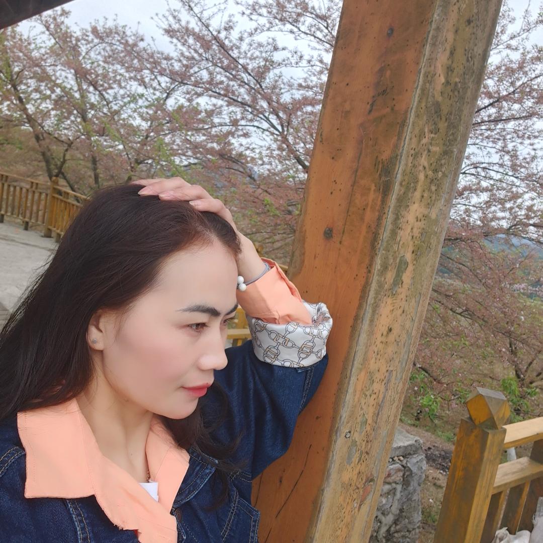 朱小妹《火狼团队》