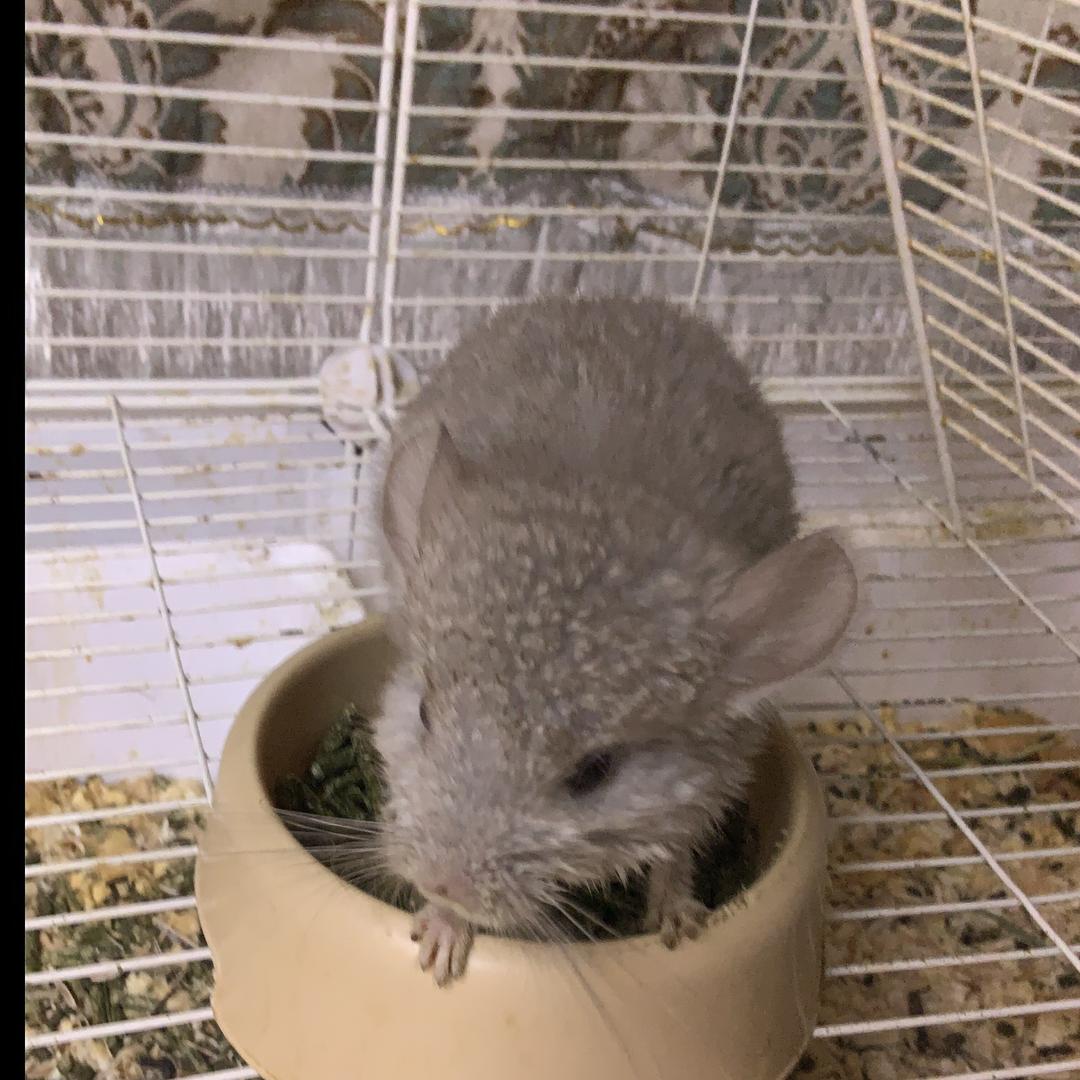 沛帝生活