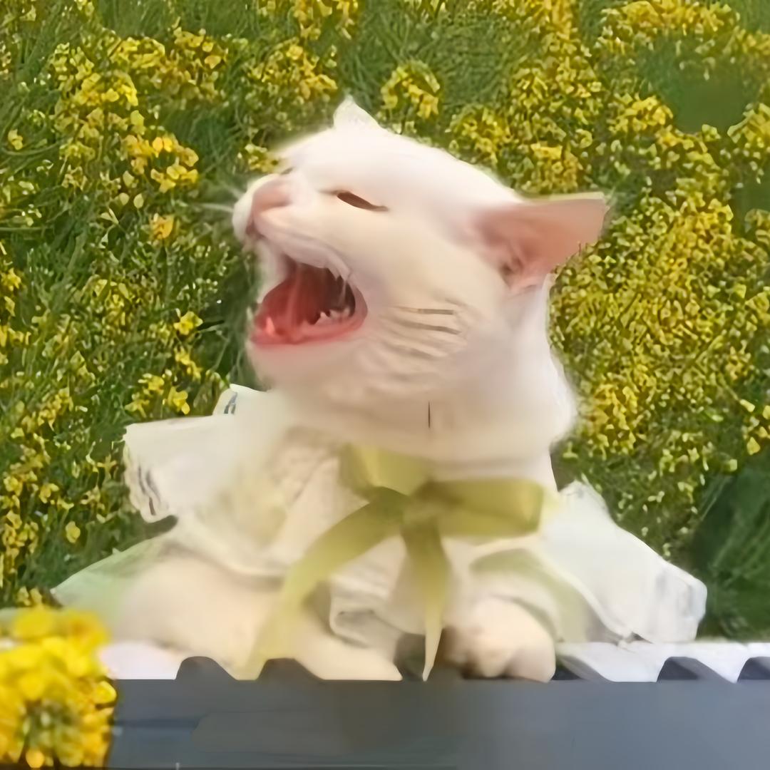毛毛