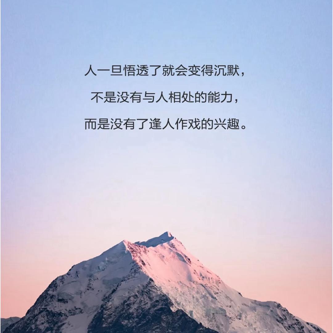 千芷贺🎨