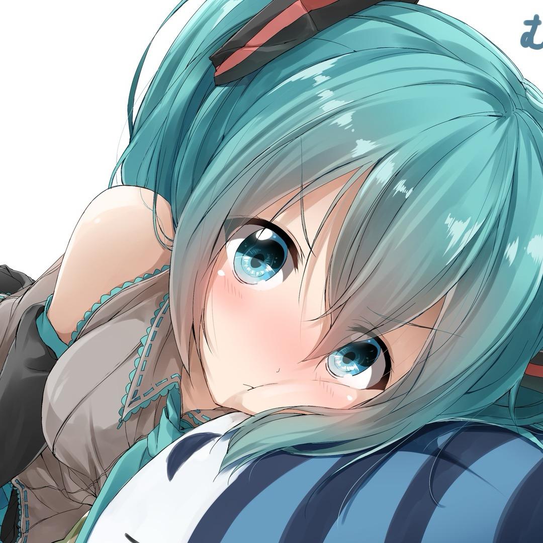 次元非载体