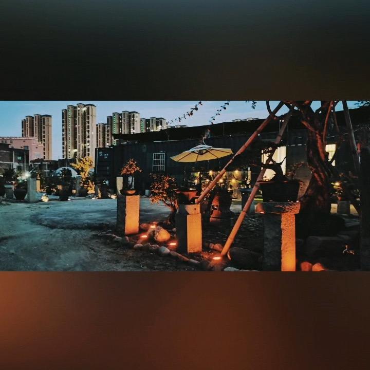 大亨盆景