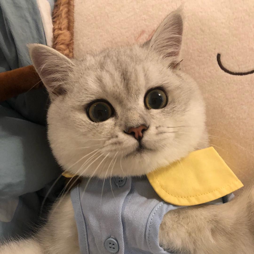 鱼饼不爱吃鱼🐟          🪳