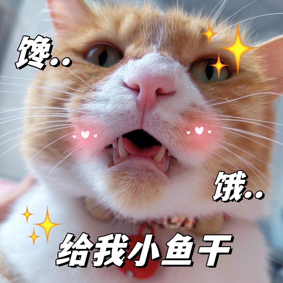 建国少爷