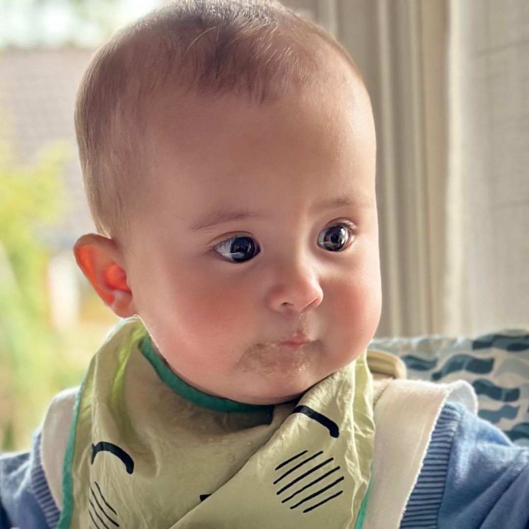 薇子家的小海螺