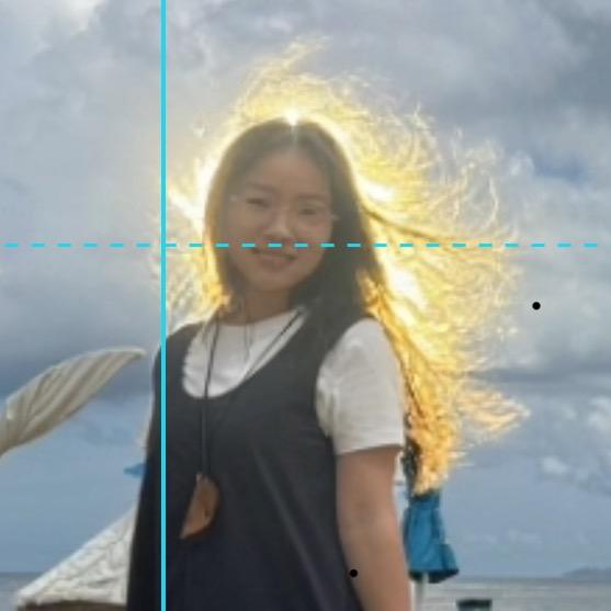 一只绵羊🐑