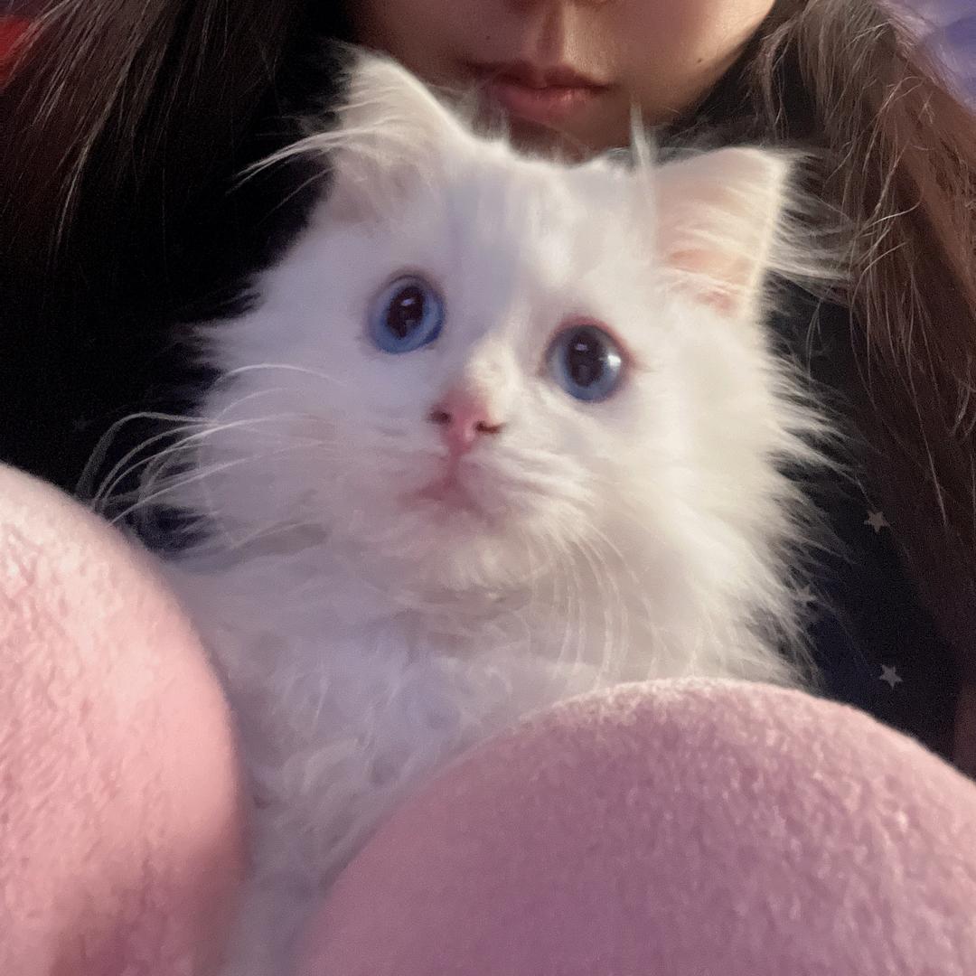 ঞ᭄陈妾做不到啊꧔ꦿ࿐