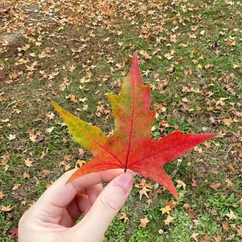 转折点
