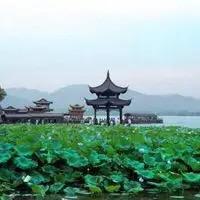 纸因有李