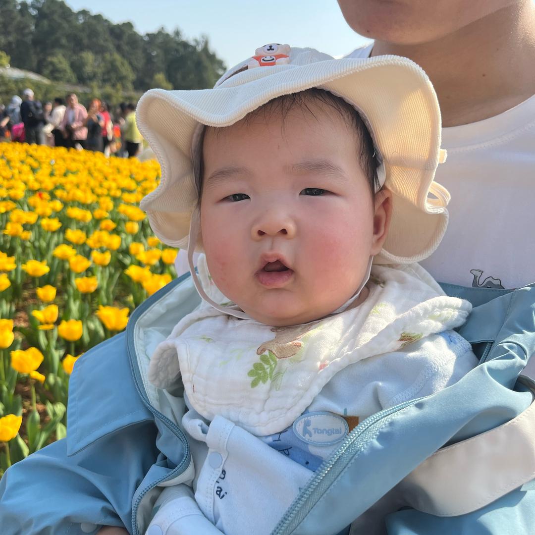 阳老头（外卖版）