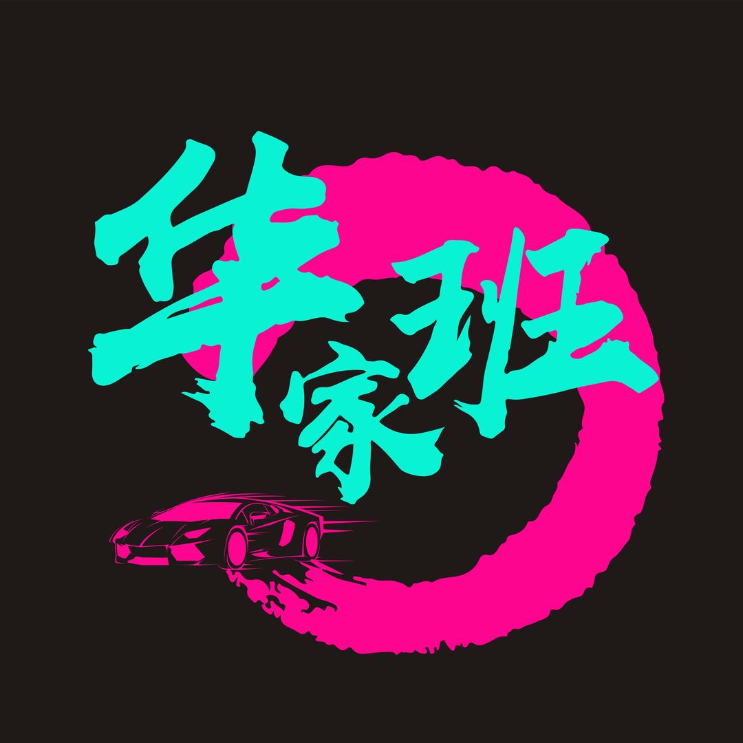 华家班汽车特技