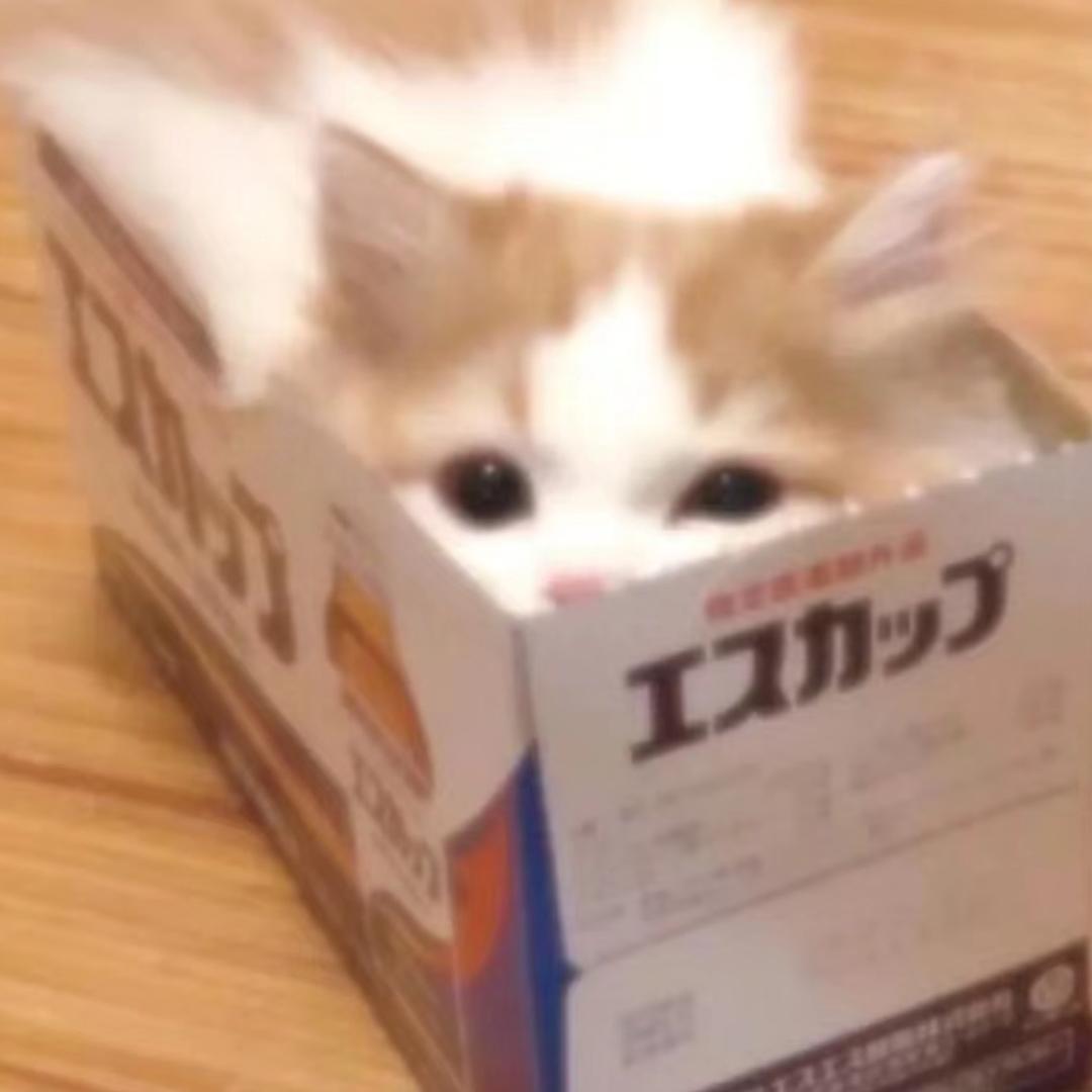 JI.