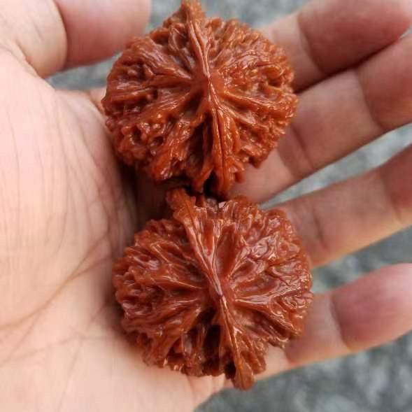 丰腾尚品
