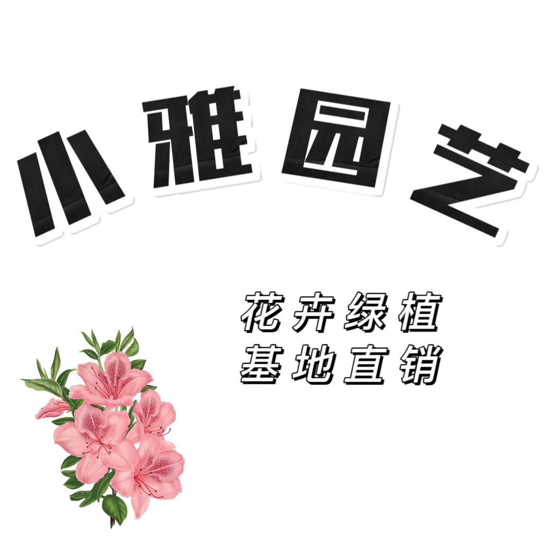 小雅园艺