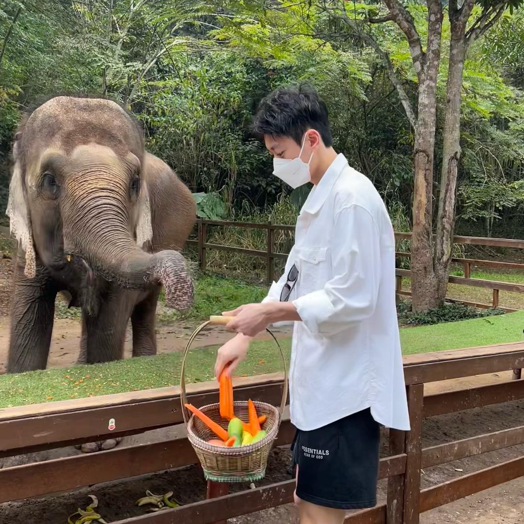 杨仔