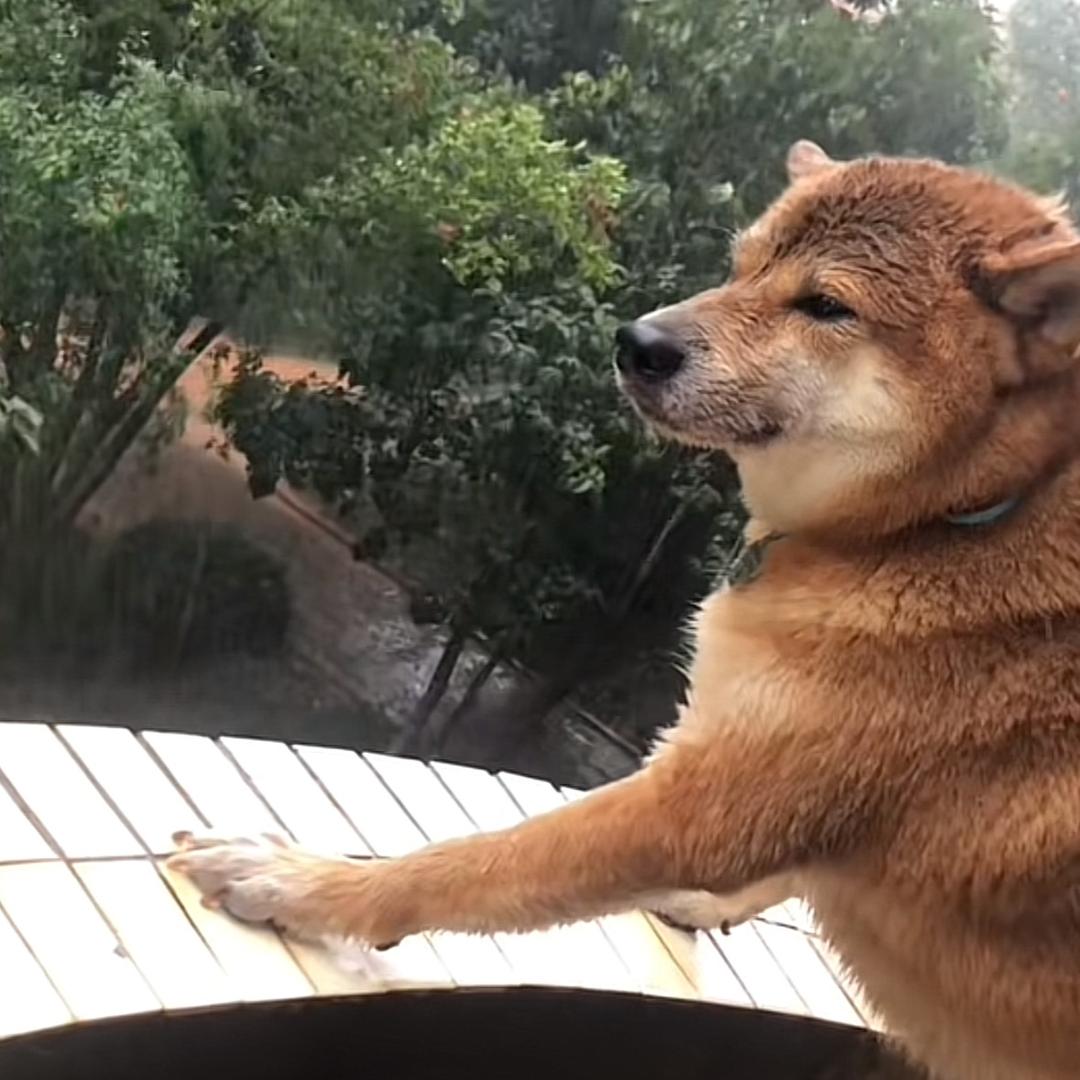 藤原拓海_