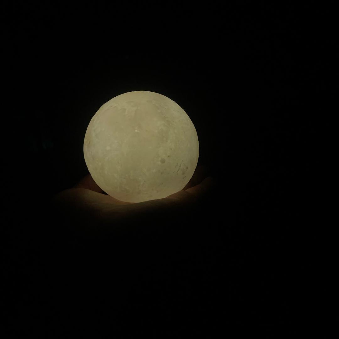 纯牛马