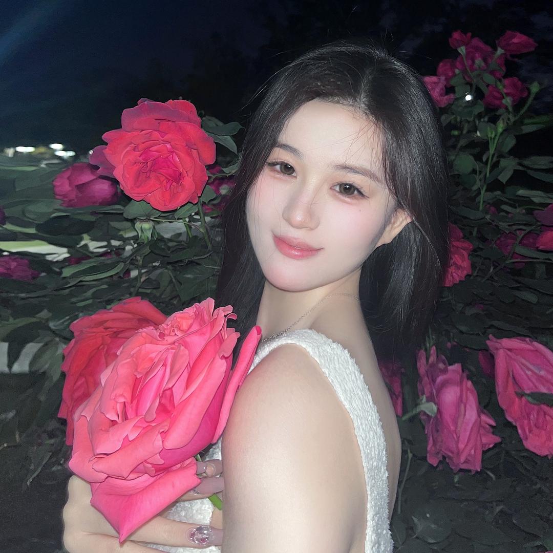 金陵美羊羊