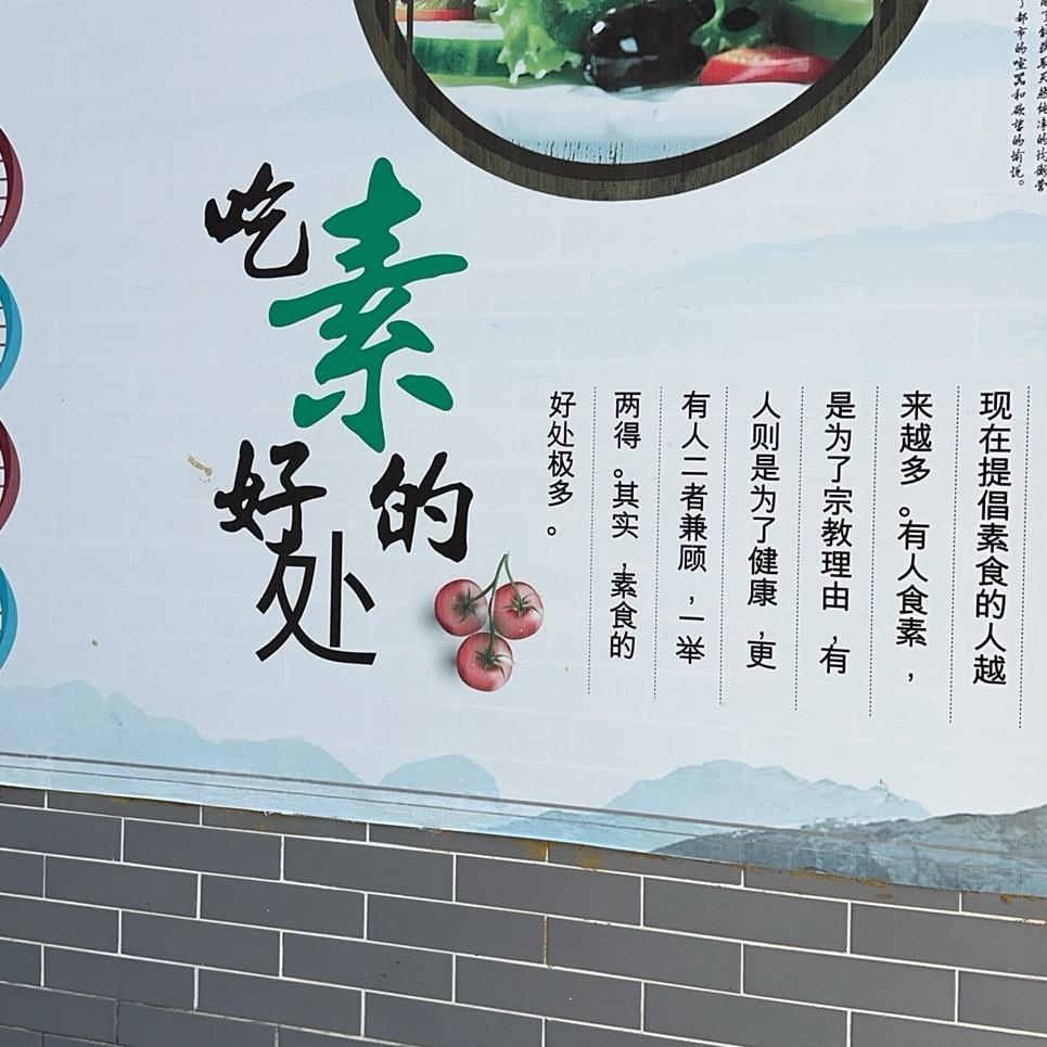 林公子开屏广告