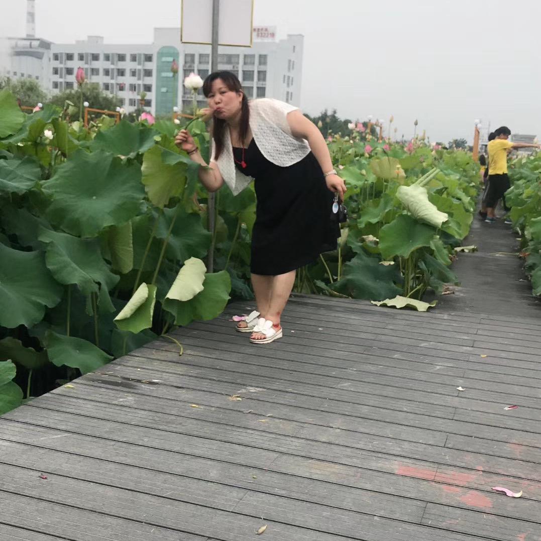 苦菜花阿珍
