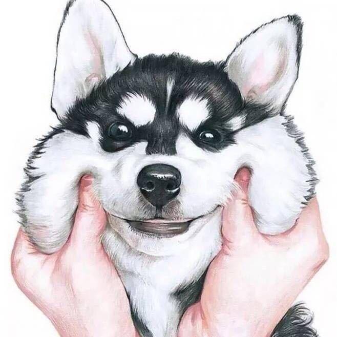 8203