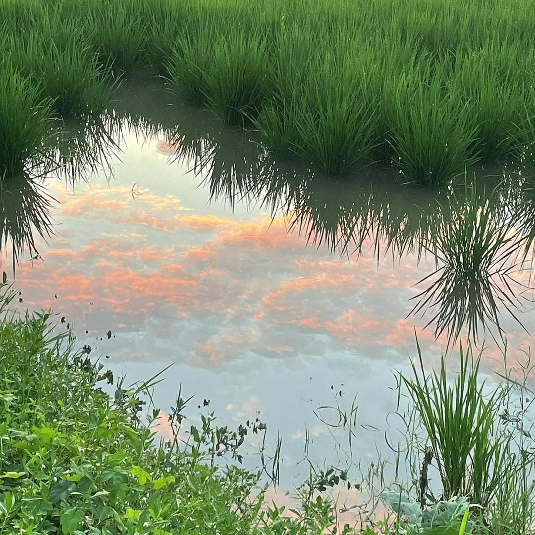 小水在村里