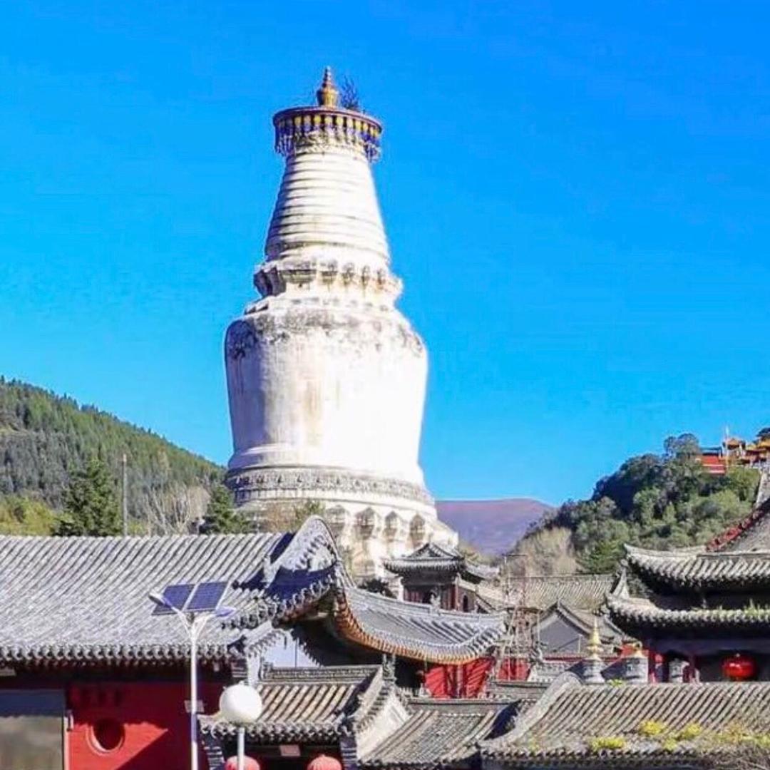 翎萱晔