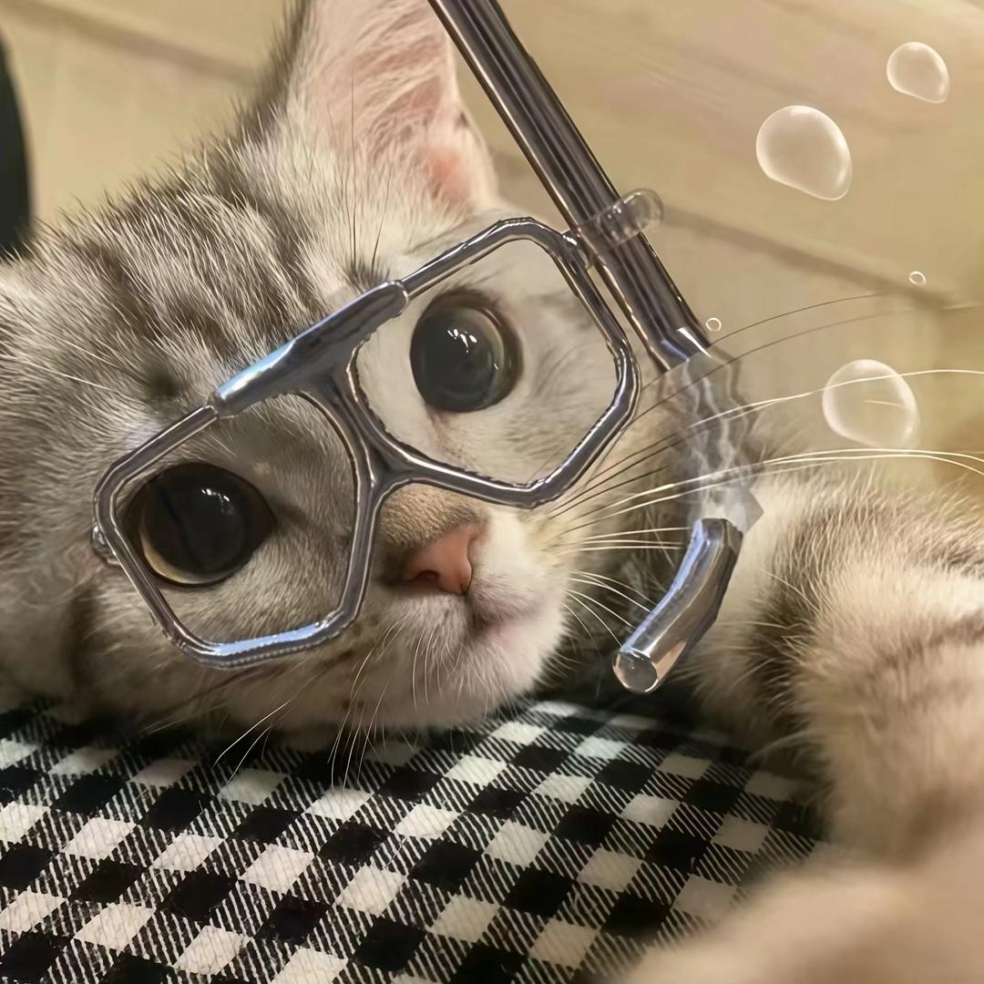 호수영