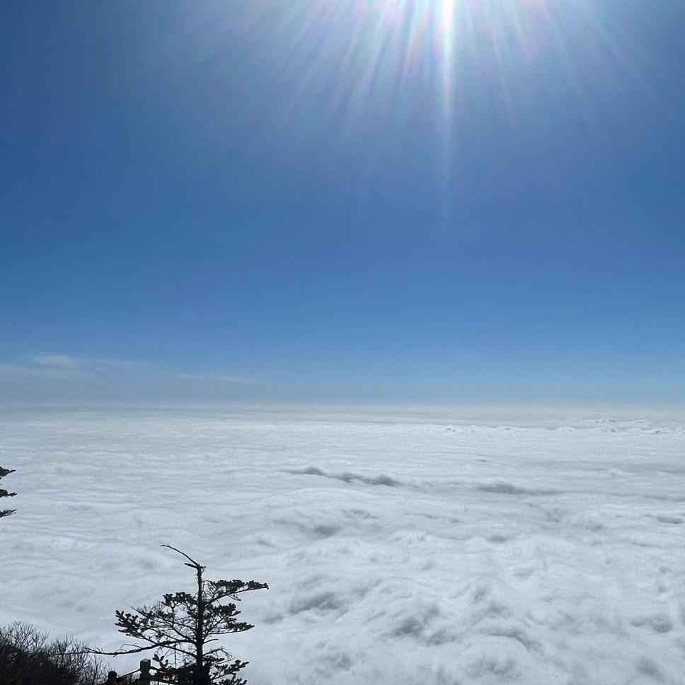 阴天🌥️