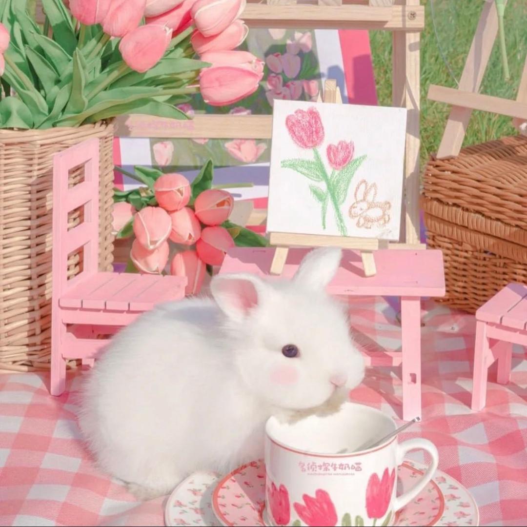 吨吨💕