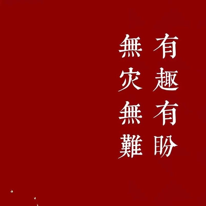 乡镇写材料鸭先知