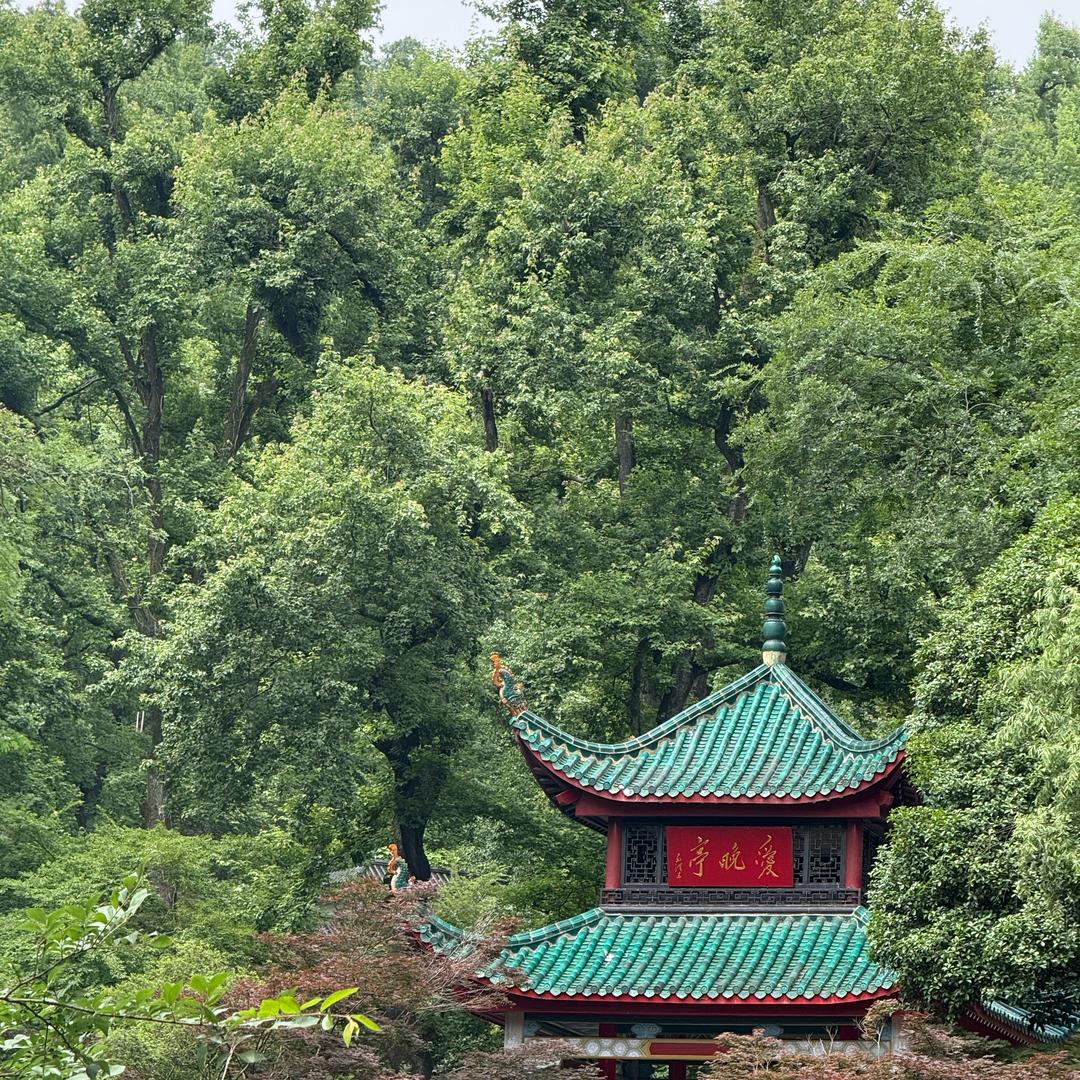 小小a