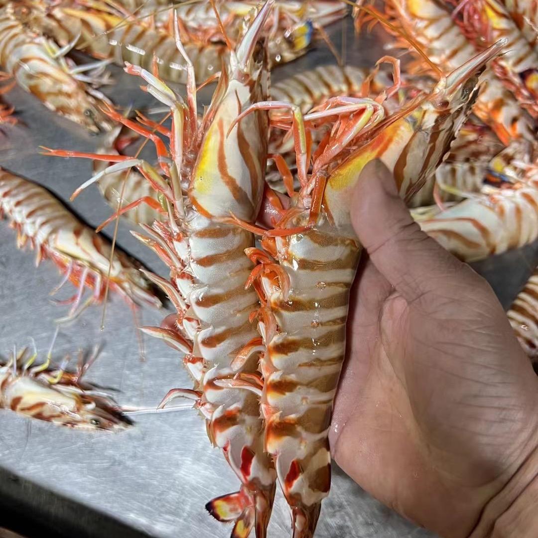 闽南渔鲜码头海鲜