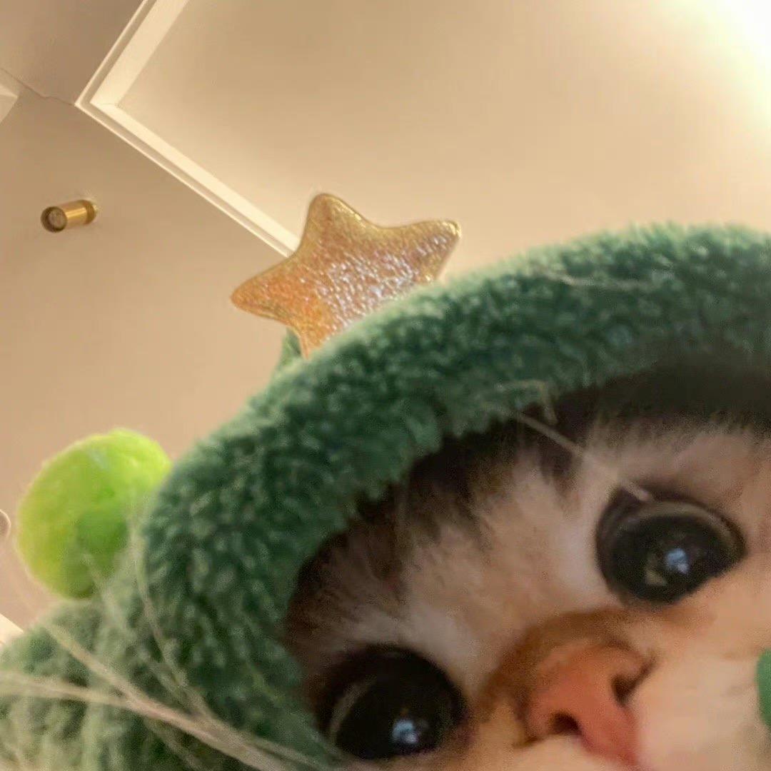 初始