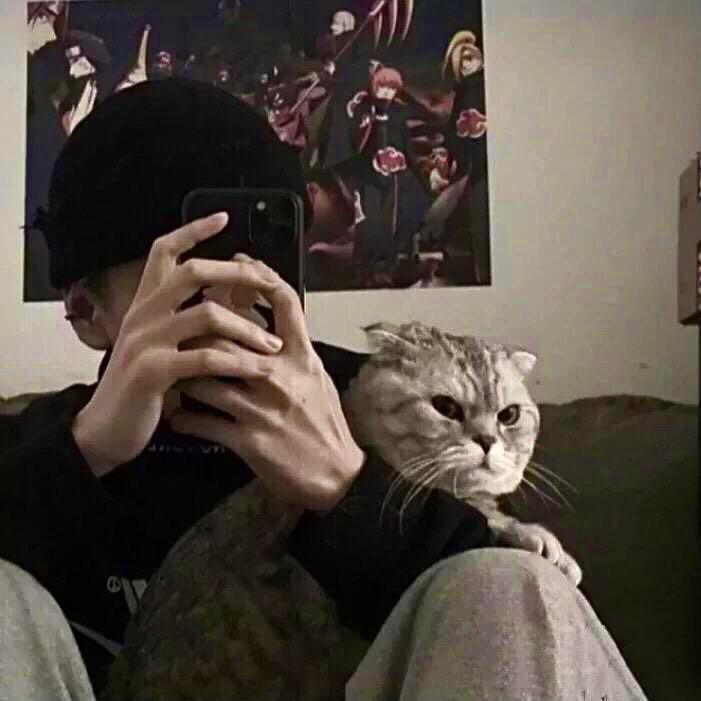 程序员和猫