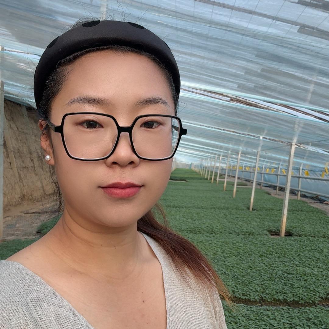 四公蔬菜种苗