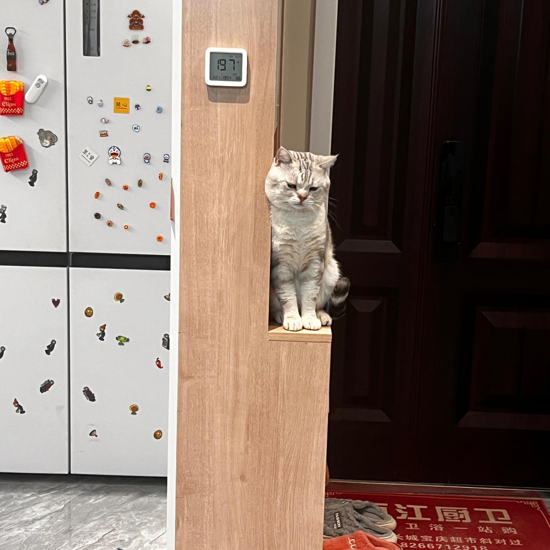 清蒸